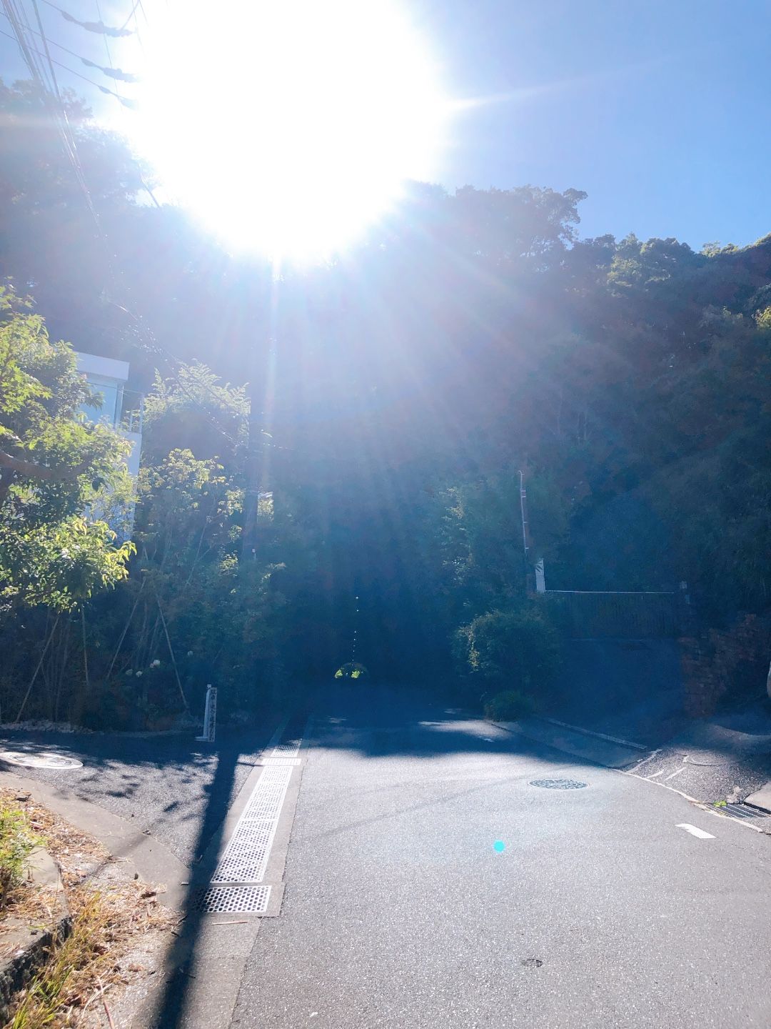 太陽を浴びる